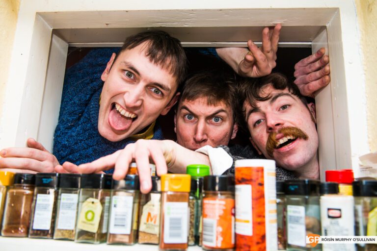 This Weekend in Limerick: The Mary Wallopers – Paddy Mulcahy – Fight Night