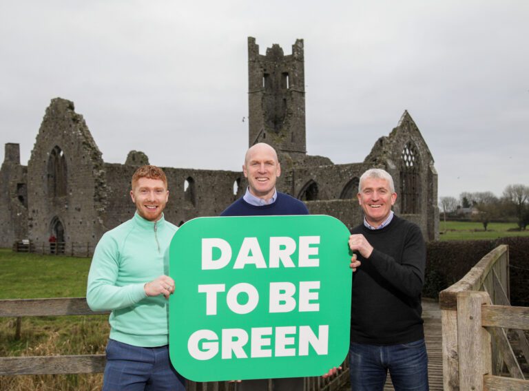 Team Limerick Clean-up going for seven in a row