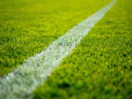 green grass field during daytime