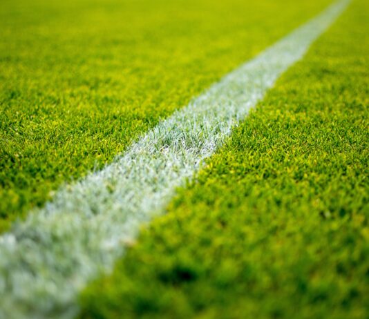 green grass field during daytime