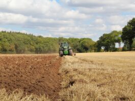 green tractor farming in field