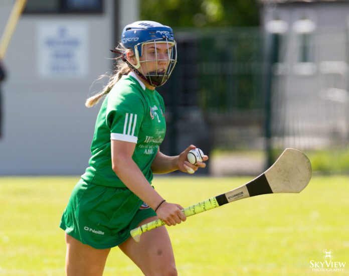 2021-0522-Clare-v-Limerick-Camogie-Leauge-R2IMG_9239-1024x809.jpg