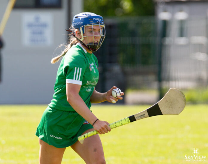 2021-0522-Clare-v-Limerick-Camogie-Leauge-R2IMG_9239-768x607.jpg