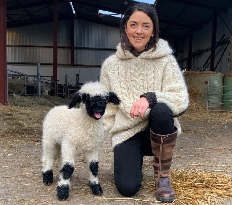 Little Bo Peep has found her sheep in Limerick
