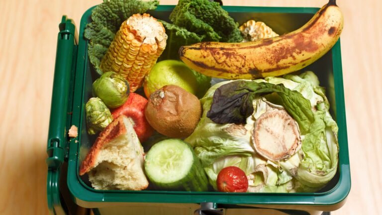 Limerick consumers asked to help prevent food waste