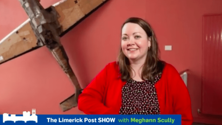 Limerick Post Show | Limerick Mens Sheds