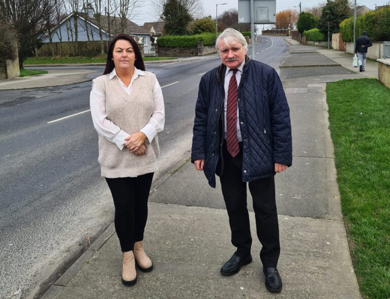 Limerick council pressed for Bloodmill Road traffic masterplan 