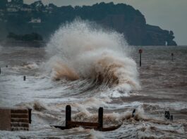 sea waves crashing on shore during daytime