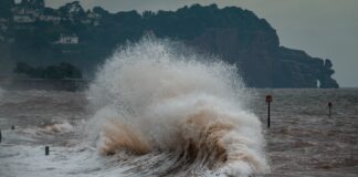 sea waves crashing on shore during daytime