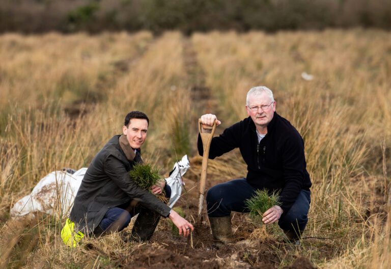 Limerick environmental initiative to plant 27,000 trees