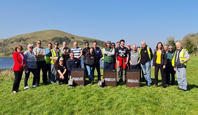 Green Team bring hive of activity to Lough Gur