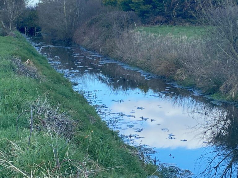 Investigation underway into suspected pollution in Loughmore Canal