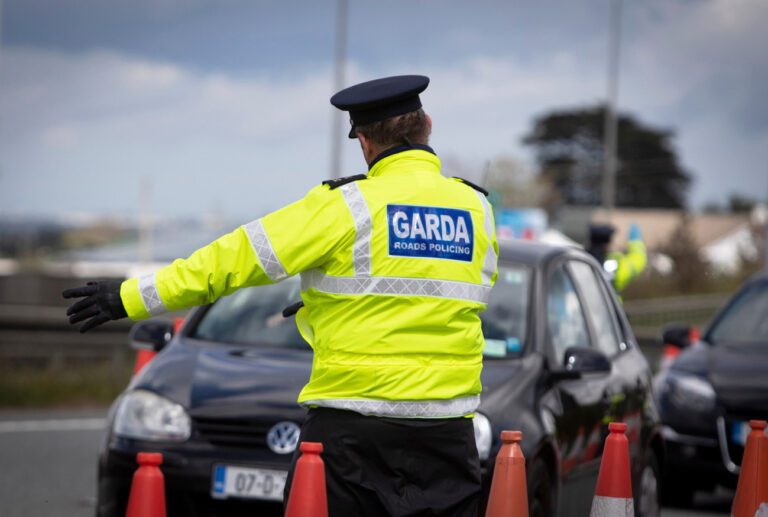 Motorcyclist dies in Shannon motorway crash