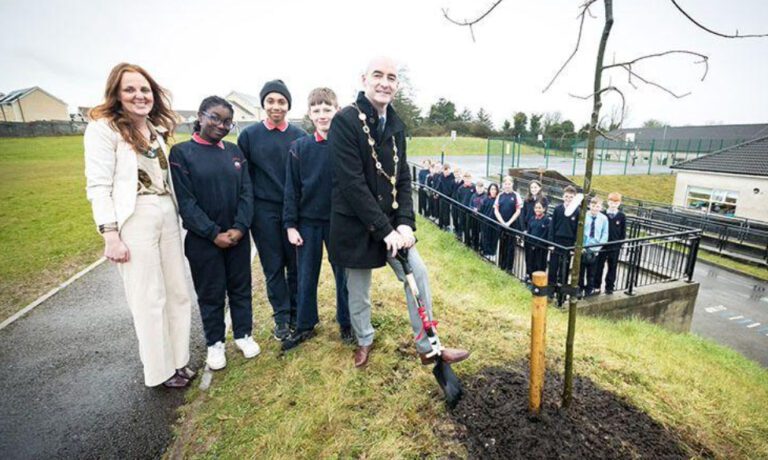 Limerick Council to undertake major tree planting programme