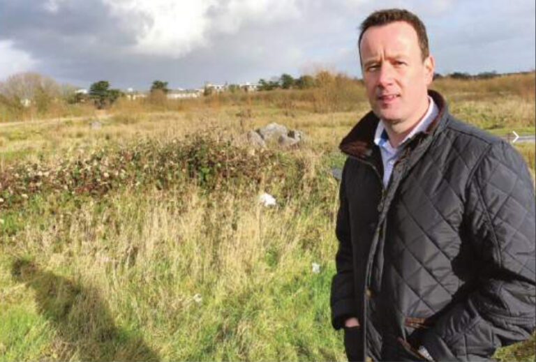 Strategic planning application for 384 houses in Raheen