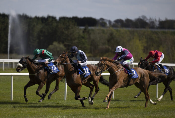 Racing-1.2-1024x692.jpg
