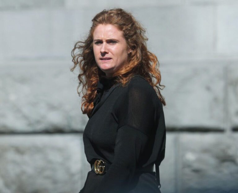 Limerick farmer awarded €10 000 for injuries caused by one ton bull 