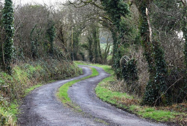 €485,970 to repair Limerick’s non-public roads