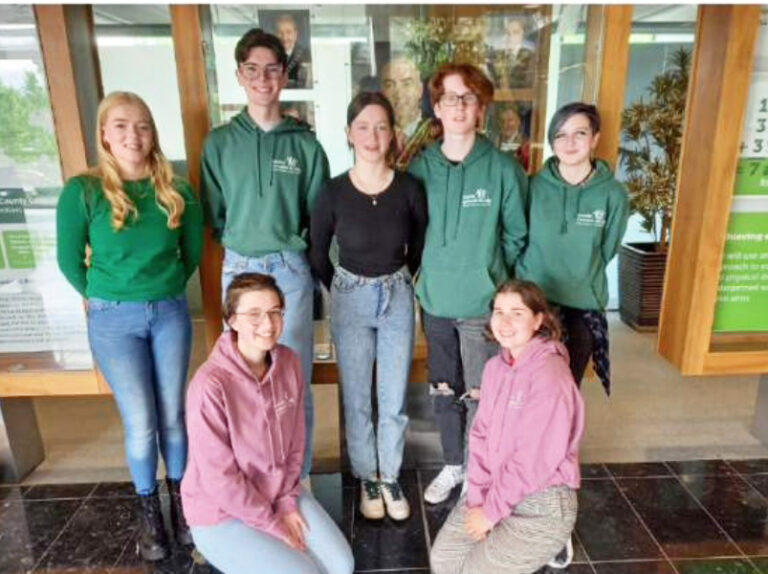 Young Limerick people call on council for meet up spaces