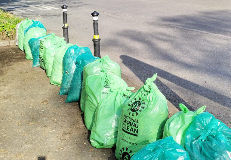 4,000 take part in the big Limerick Spring Clean