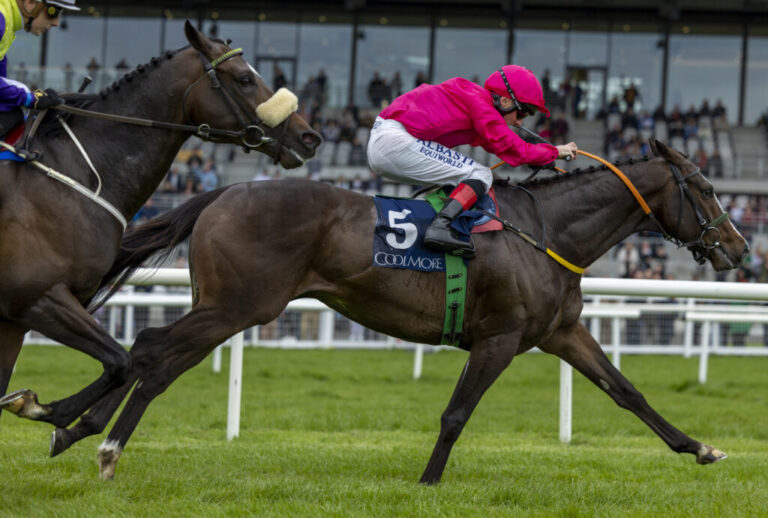 Billy Lee shines with four wins in Seven Days | Weekly Racing News