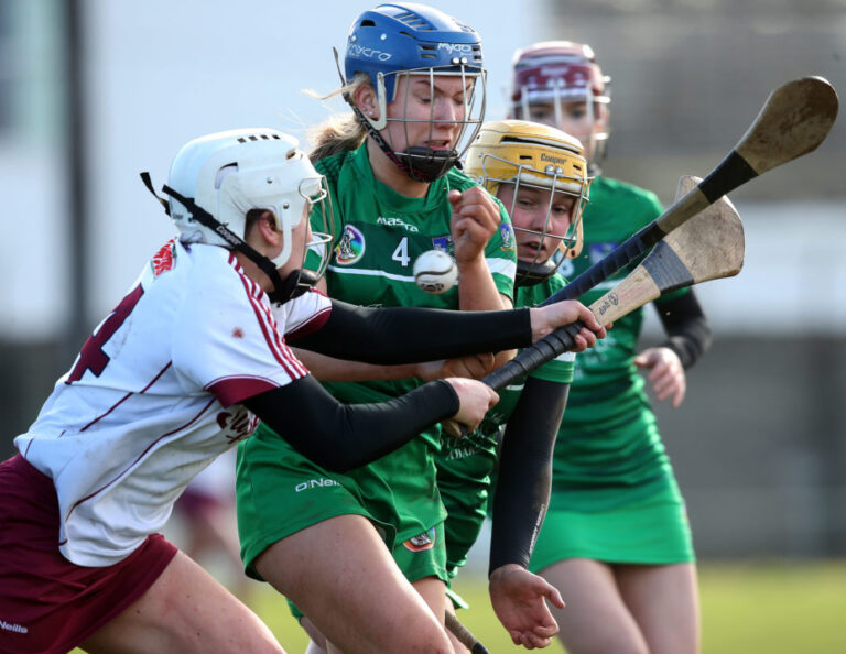 PREVIEW | Limerick camogie teams begin championship campaigns