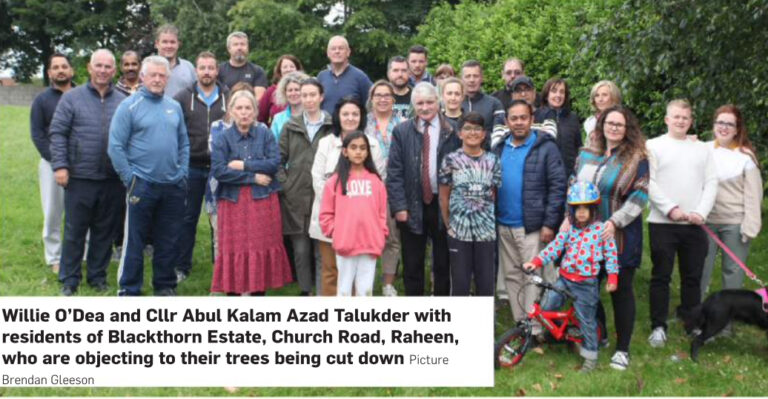 Limerick residents want to be heard on plans to axe trees 