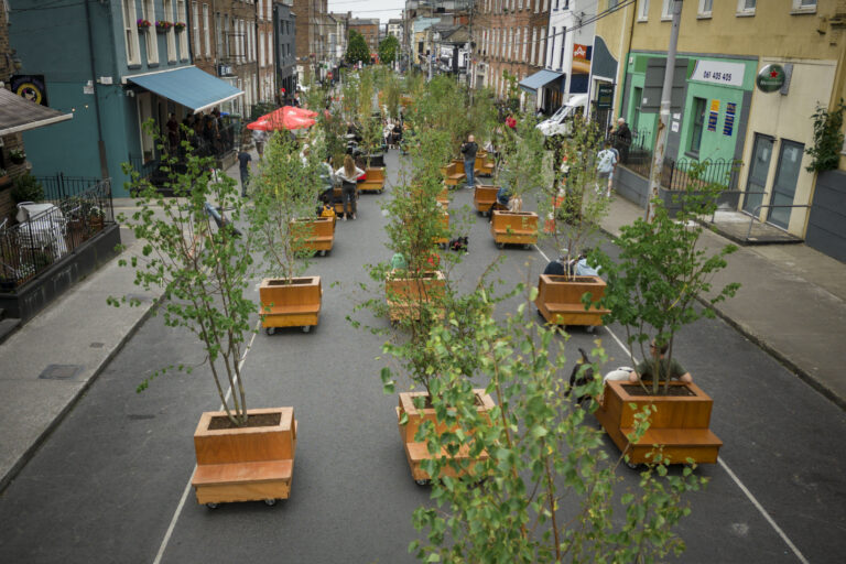 Mini-forest gives glimpse of Limerick as a living city