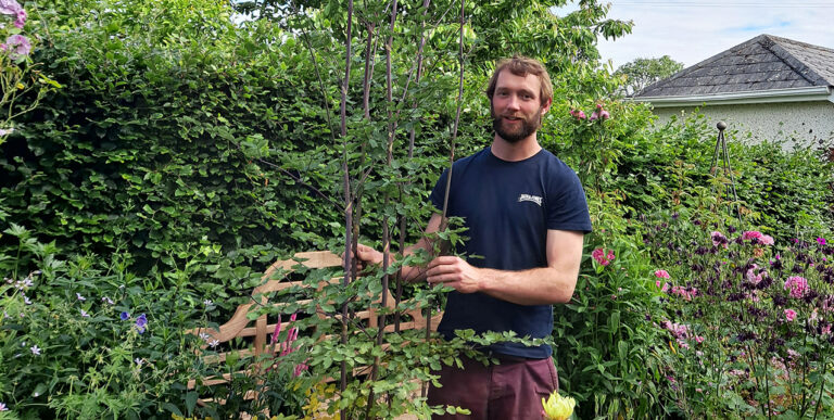 Limerick Garden Festival brings masters and masterclasses