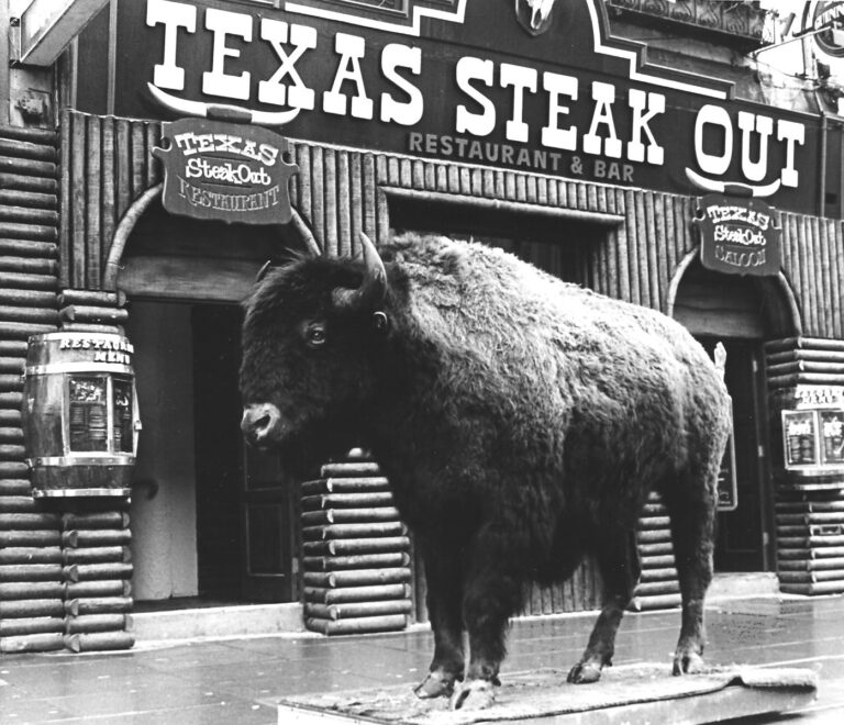 The Steakout story – from then until now