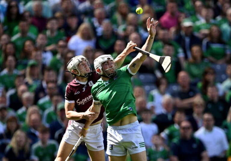 Limerick thief was not a hurling fan