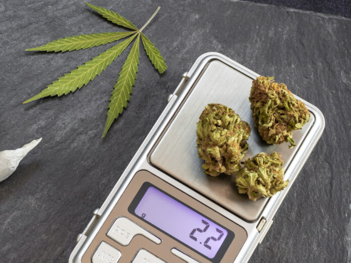 Cannabis