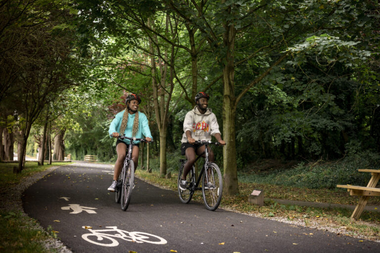 Virtual Public Consultation Room for the proposed new Limerick City Greenway 