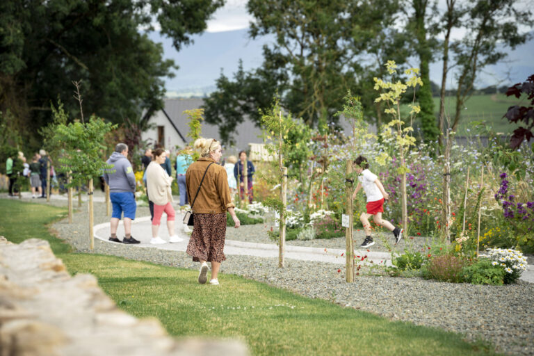 Community effort creates County Limerick wildlife area