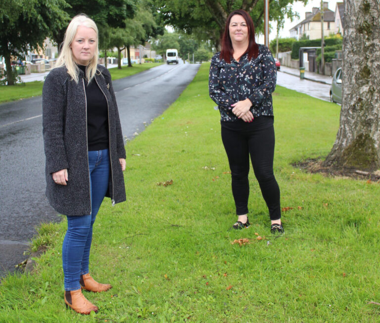 Councillors clash on Limerick soccer pitches