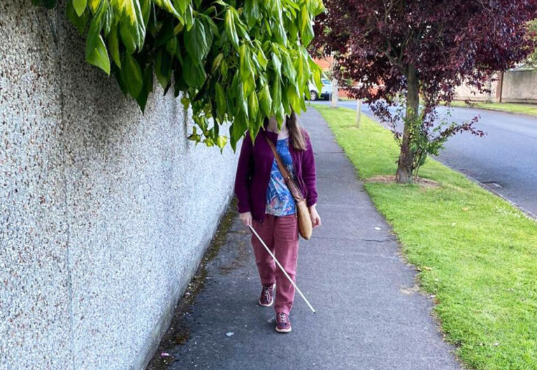 Only four dog fouling fines issued in Limerick last year