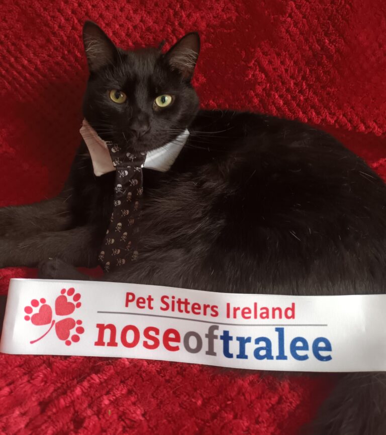 Dapper local gentleman calls for county’s support in Nose of Tralee contest