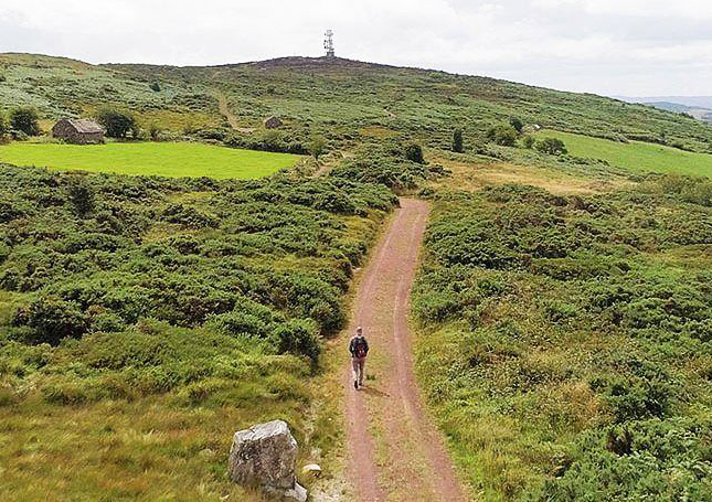 Knockfierna Hill walk