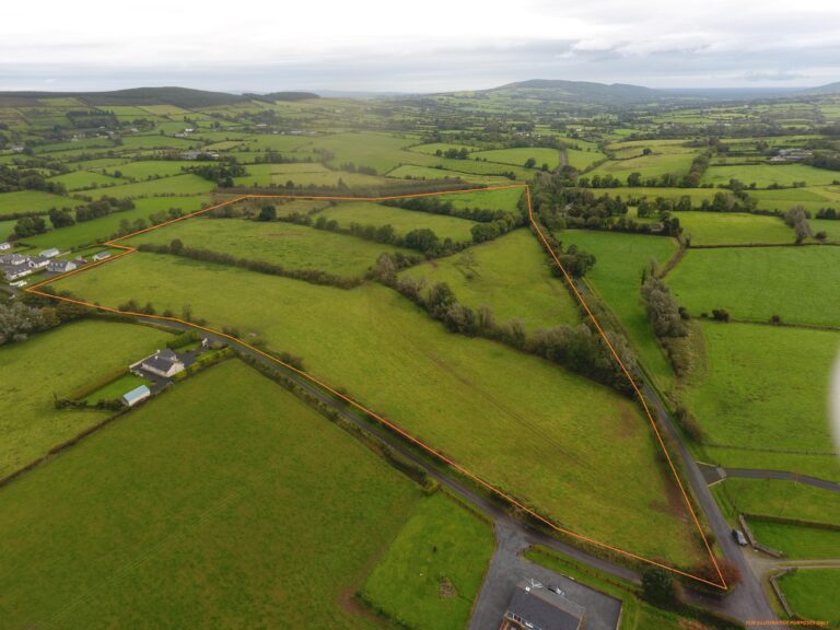 Online bidding battle doubles price of Limerick farmland