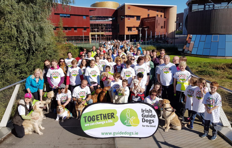 Limerick walk to support guide dogs