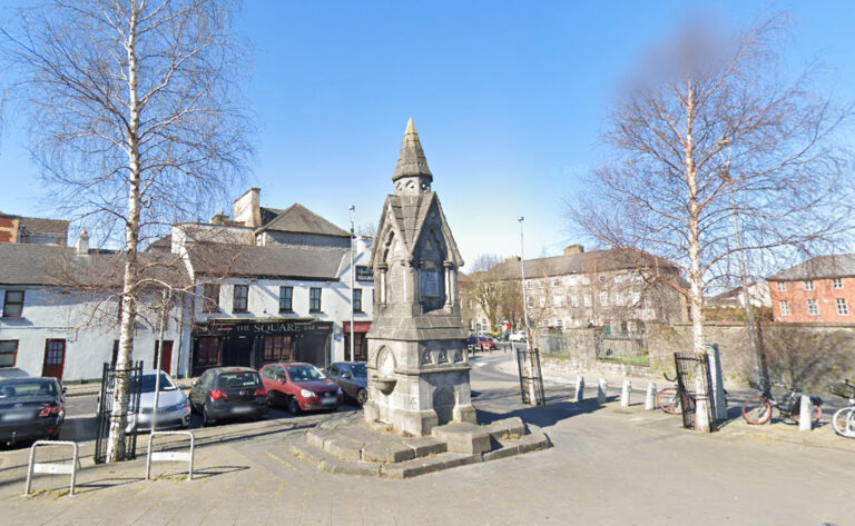 Naked display at Limerick monument highlights need for help