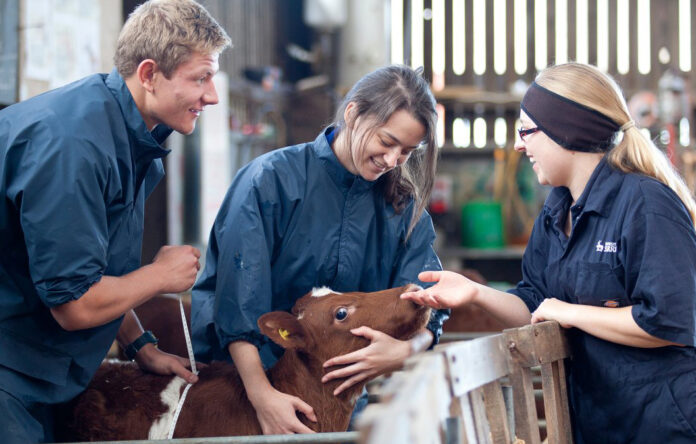Veterinary students