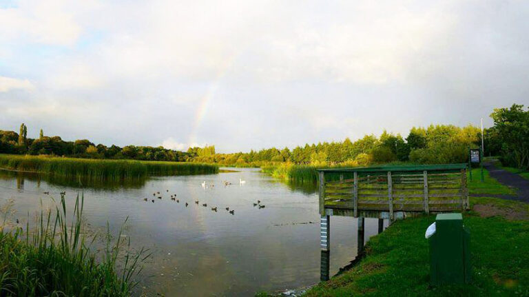 Workshop will explore the vital importance of wetlands to wellbeing