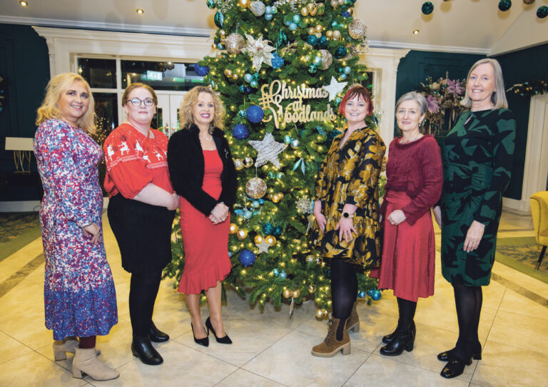 Limerick Childcare Committee Christmas Event at Woodlands Hotel, Adare