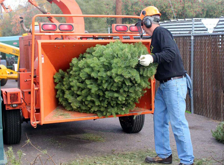Limerick council offers green option for Christmas tree disposal