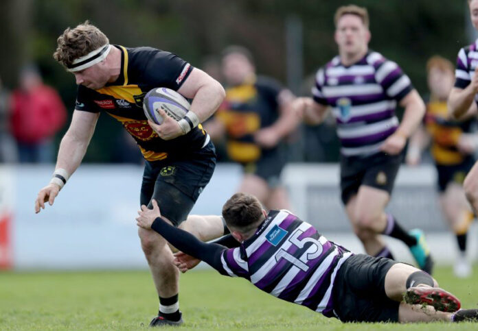 Dan Walsh