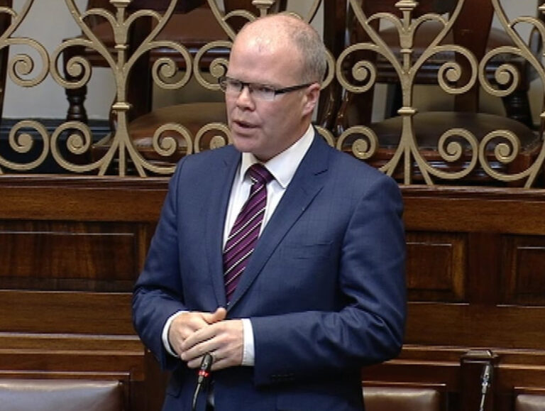 River Shannon suicide attempts come under Dáil scrutiny