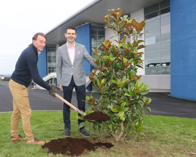 Limerick Racecourse under starters orders for Mr Binman Christmas Festival