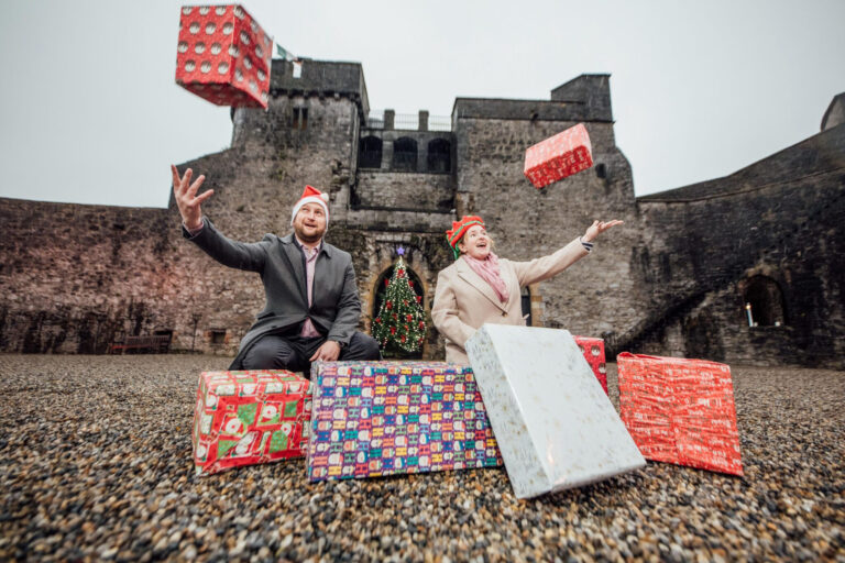 Limerick giving tree makes sick kids kings of the castle