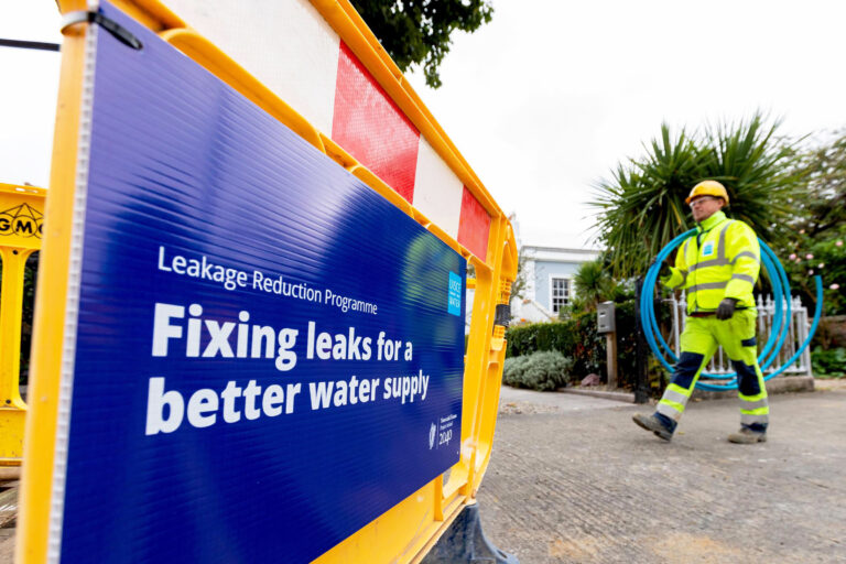 Water works will see road closures in Fedamore